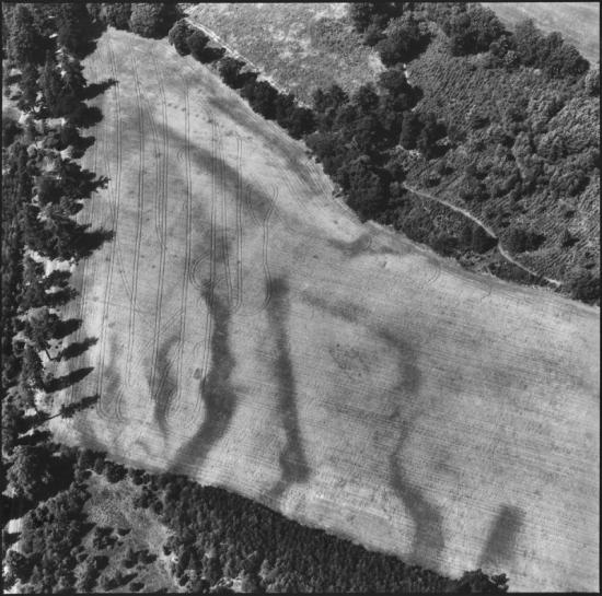 aberdeenshire-aerial-photography-oblique-aerial-view-sc1071719-copyright-rcahms.jpg