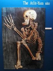 alit-yam-human-skeleton.jpg