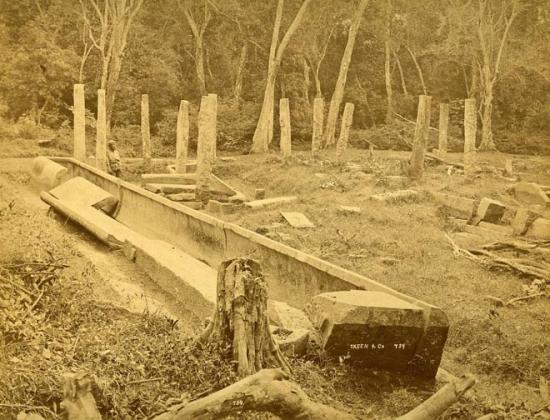 anuradhapura-abhayagiri-rice-canoe.jpg