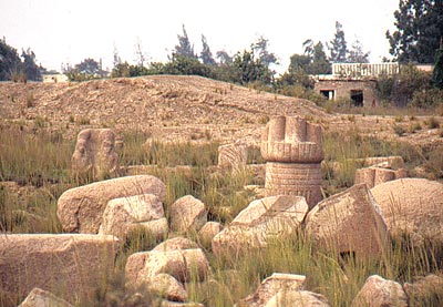 Bubastis ruines wikimazigh