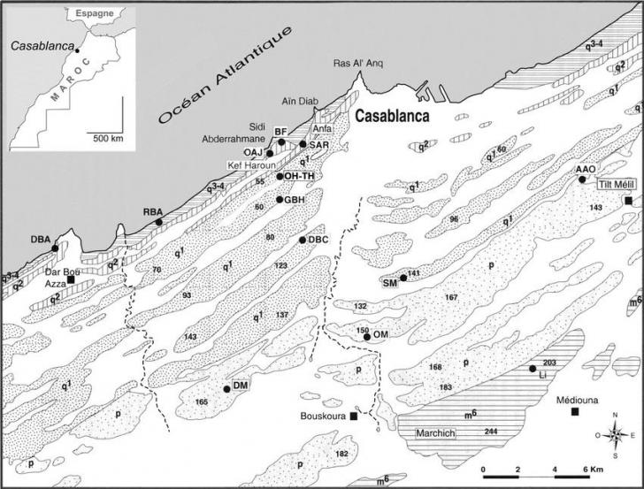 Carte des formations mio pleistocenes de la sequence de casablanca dessin d lefevre