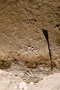 Chaco 6 toe footprints mini