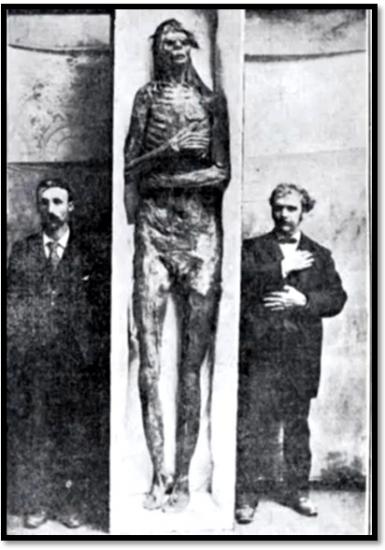 giant-skeleton-unknown.jpg