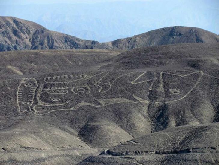 Gigantic 2000 year old geoglyph of an orca