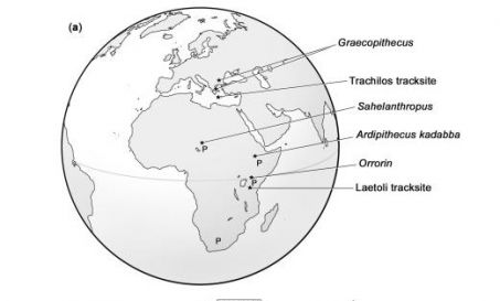 Homininessurcarte