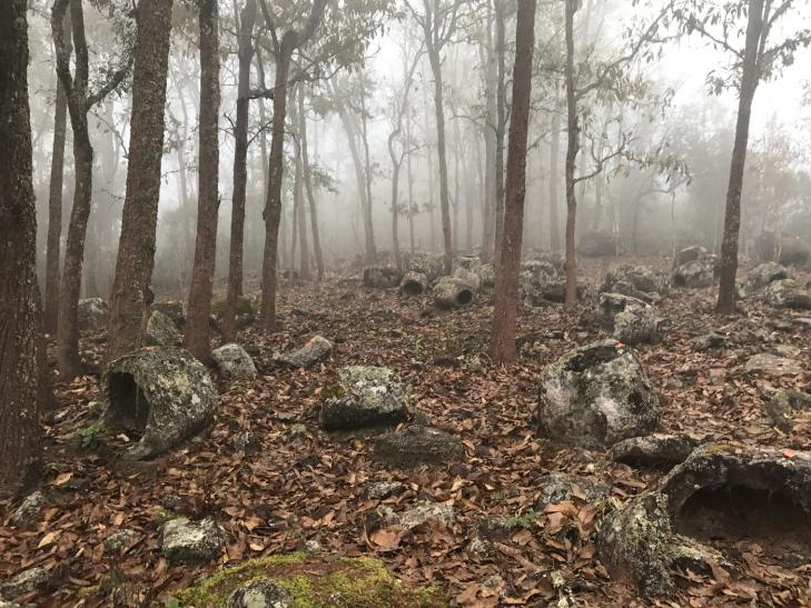 Laos jars forest 1400