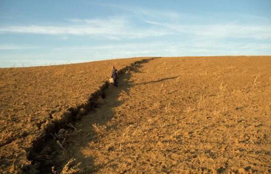 algérie-grosse-failleapparueen10ans.jpg