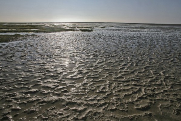 Mer de wadden 143