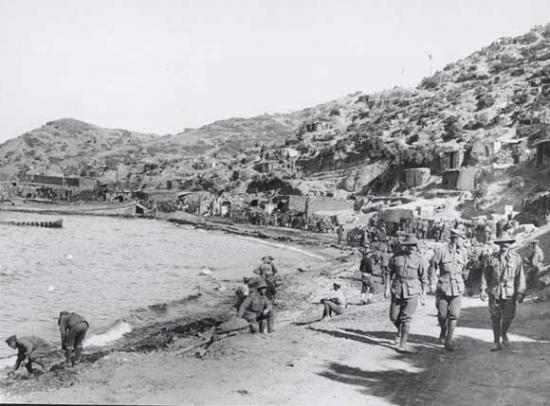 norfolk-gallipoli.jpg