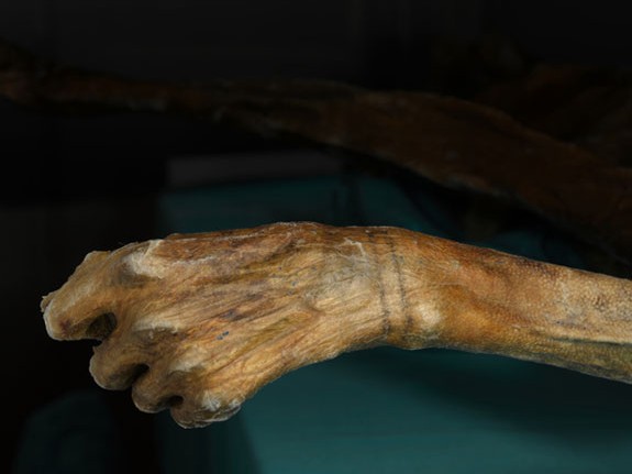 Otzi3