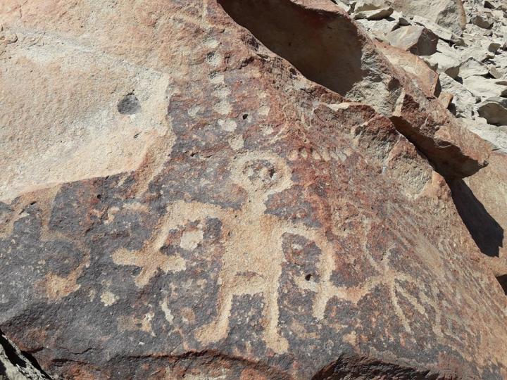 Petroglyphe palpa