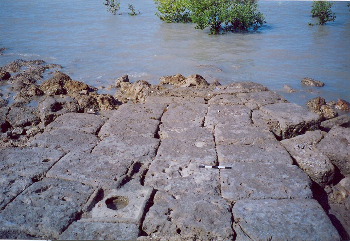 Pindara an ancient temple complex