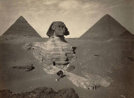 Sphinx mariette 1871a