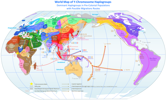 World map of y dna haplogroups