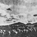 1954--Australia--ovni-ufo