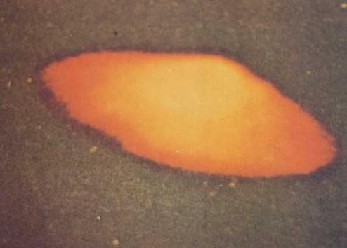 1965-ovni-ufo-St_-George-Minnesota-21-octobre