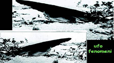 UFO- Roswell Crash Pics