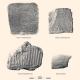 Des tablettes gravées de Stonehenge de 5000 ans analysées