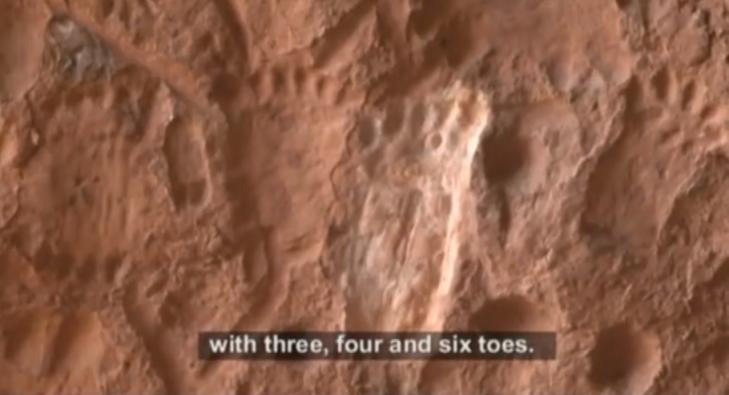 3 4 6digitsfootprints