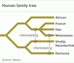 50547826-human-family-tree304.gif