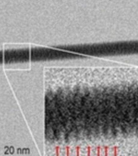 Nouvelles génétiques et archéologie : l'Histoire Change...