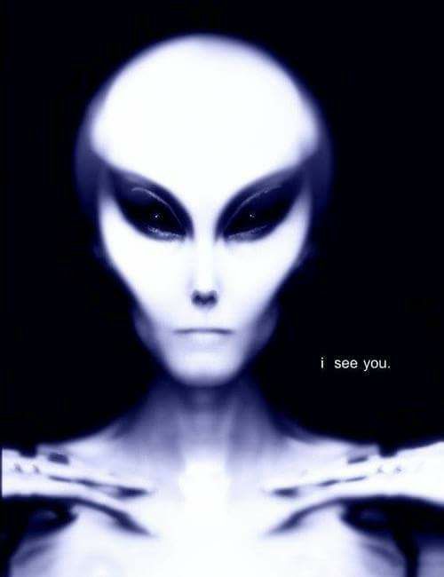 Alien