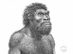 Un crane de 1,8 millions d'années modifie les théories classiques