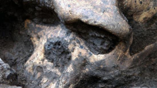 ancient-skull.jpg