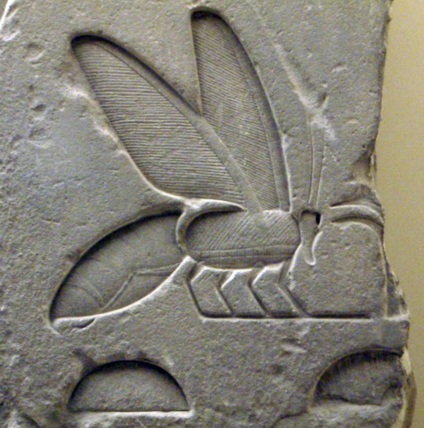 Ancientegyptianrelief beehieroglyph rom1 600x605