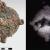 Anticythère : fouilles 2017, un mystérieux disque de bronze