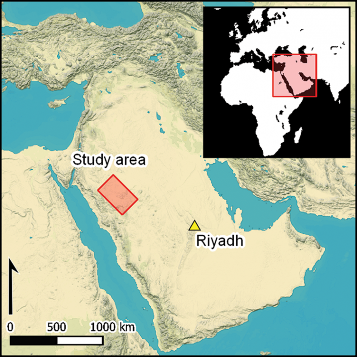 Arabie sitesetudies