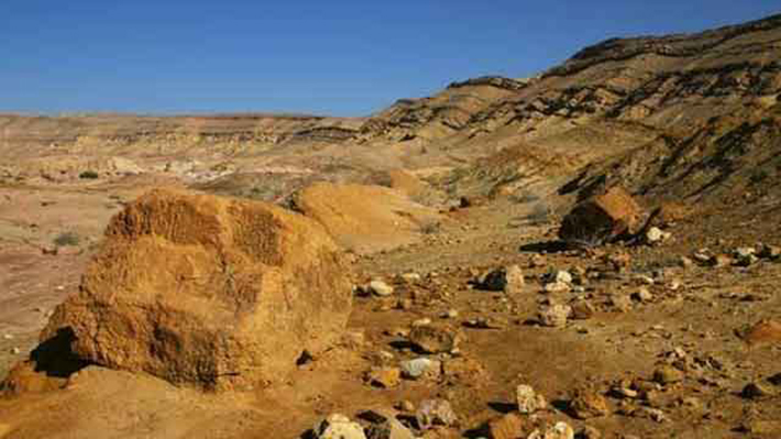 Archaeological discoveries desert kites