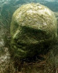 Argentine : une découverte récente au fond du lac Traful