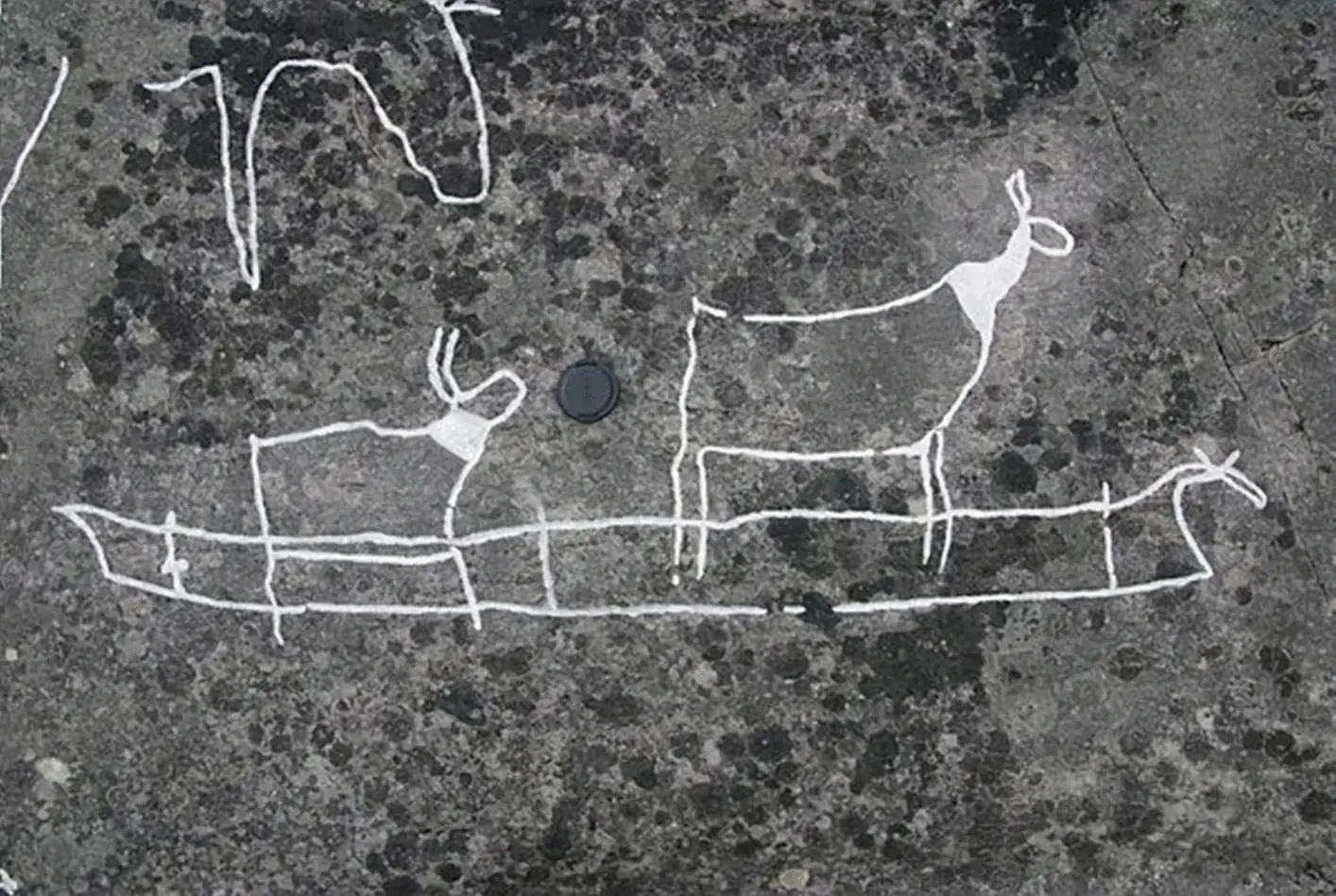 Art rupestre image d un eventuel bateau en peau transportant deux rennes photo creditee a martin kristoffer hykkerud photo du verdensarvsenter pour bergkunst alta museum1