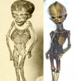 Avant le Ata de Garry Nolan, il y avait un Atta Boy de Robert Ripley ?