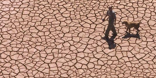 Réchauffement Climatique : le catastrophisme monte, pour quand la panique ?