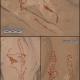 Balkans : Premier art rupestre préhistorique identifié