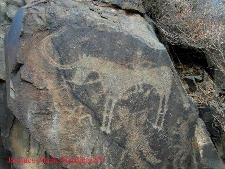 Bardintzeff sam 7762 tanbaly petroglyphe