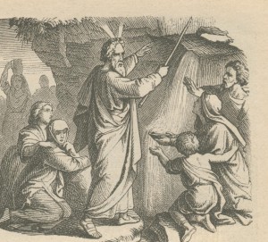 Baton de moise 1 bibleillustree