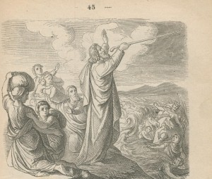 Baton de moise 2 bibleillustree