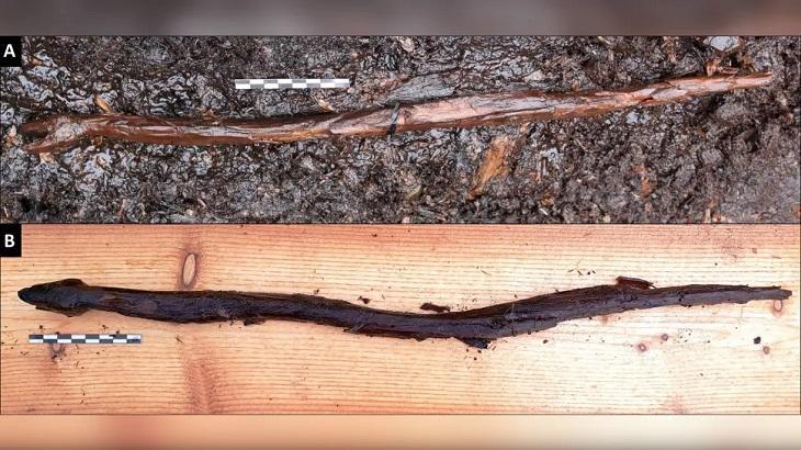 Finlande: un baton-serpent de chaman de 4400 ans découvert