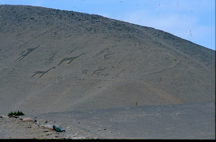 bolivie-sajama.jpeg