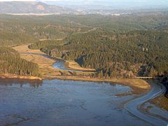 bone-river-washington-willapabay.jpg