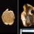 Brésil : Des français déterrent des objets de 23 000 ans