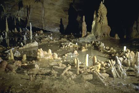 Bruniquel stalagmites cnrs 20160048 0007