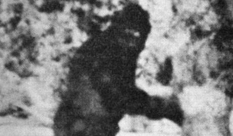 La chaîne Spike TV : 10 millions de dollars pour une preuve sur les Bigfoot !