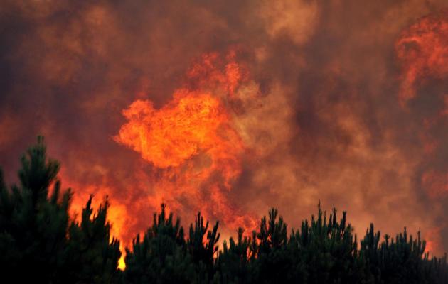 canicule2012-incendies.jpg