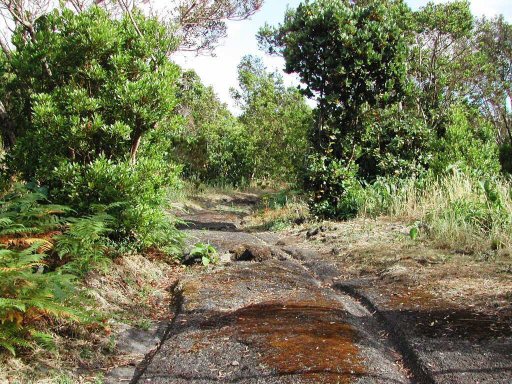 Cart ruts terceira acores1