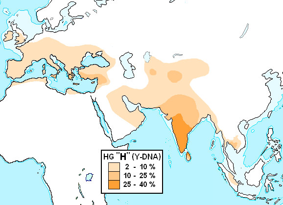 Carte de diffusion du gene h y adn