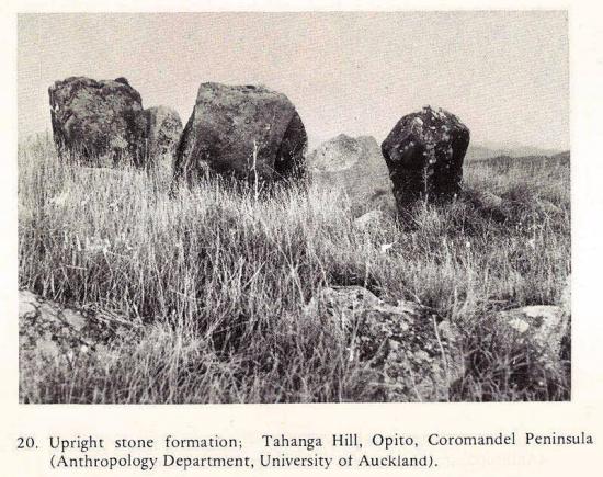 Cercles menhirs nzelande